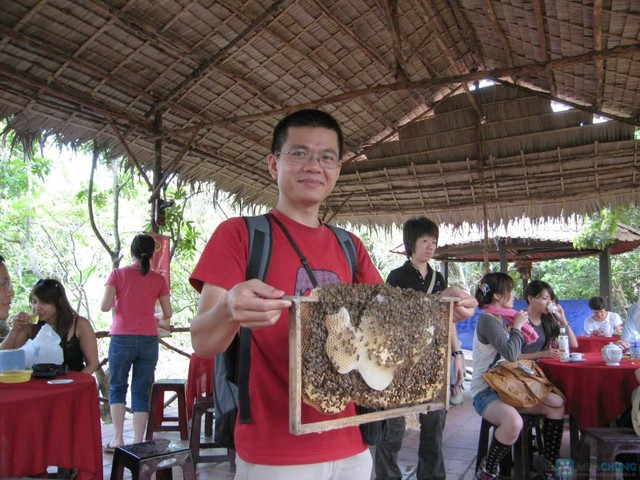 Cơ sở nuôi ong lấy mật ở Tiền Giang